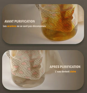 SOUS VÊTEMENTS DE MODELAGE RÉPARATEURS EN FIBRE IONIQUE